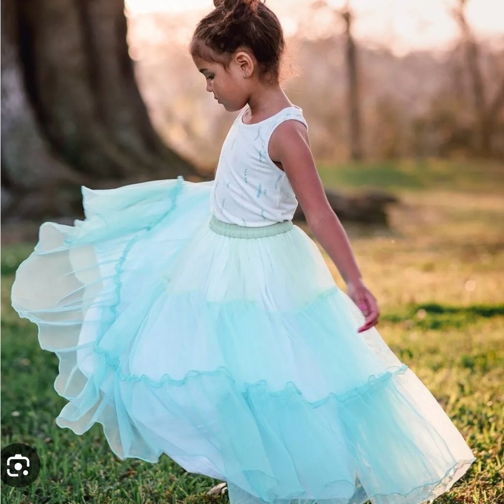 Wildlings WDW Well Dressed Wolf Teal

Ombre tulle Maxi Skirt Size 10 (big Kidd)